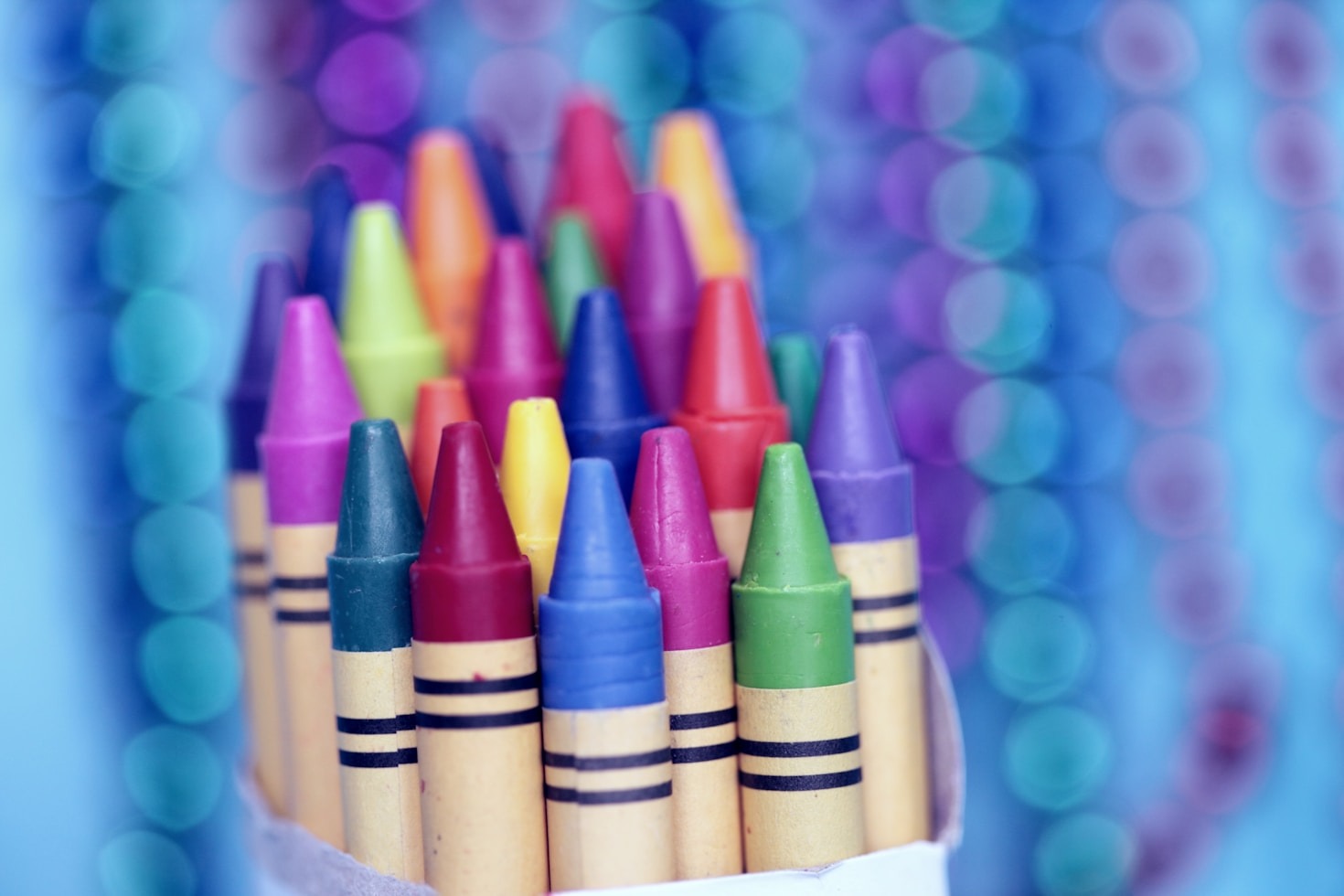 Top 5 Must-Haves for a Smooth School Year